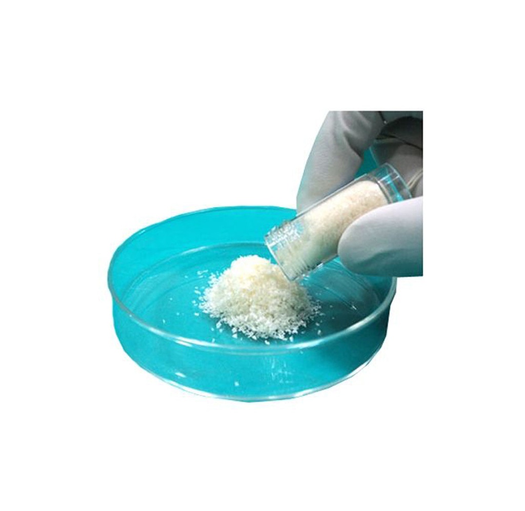 Maiden Biosciences Collagen Powder, 1g