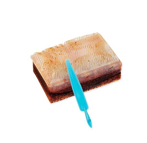 [371073] BD E-Z Scrub 4% CHG-Impregnated Surgical Scrub Brush, Color-Code Red