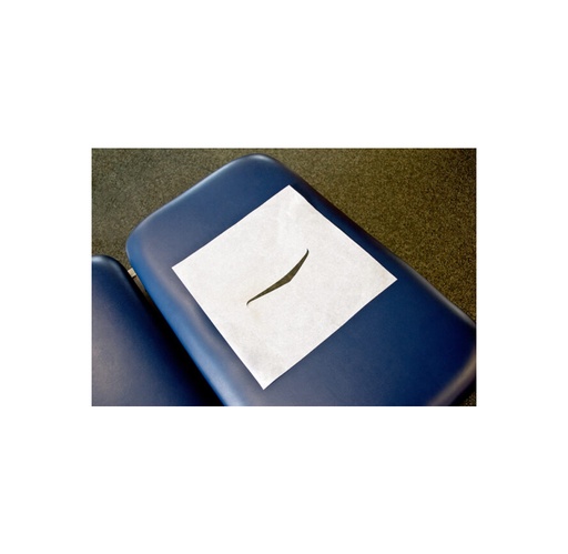 [70904N] Graham Field Headrest Sheet